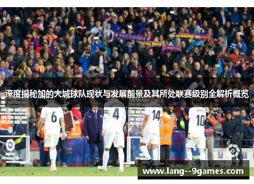 深度揭秘加的夫城球队现状与发展前景及其所处联赛级别全解析概览 深度揭秘加的夫城球队现状与发展前景及其所处联赛级别全解析概览